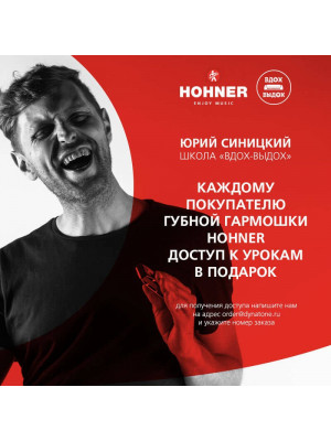 HOHNER Pro Harp 562/20 MS D - Губная гармоника диатоническая Хонер HOHNER Pro Harp 562/20 MS D - Губная гармоника диатоническая Хонер